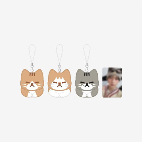 Stray kids dominATE : celebrATE MD SOON-DOONG-DORI KEYRING SET by Lee Know
